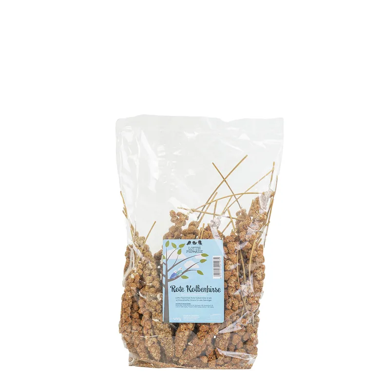 LOTTIS PIEPMÄTZE Rote Kolbenhirse 500 g Highlight